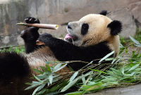 YXJ_8054_副本.jpg
