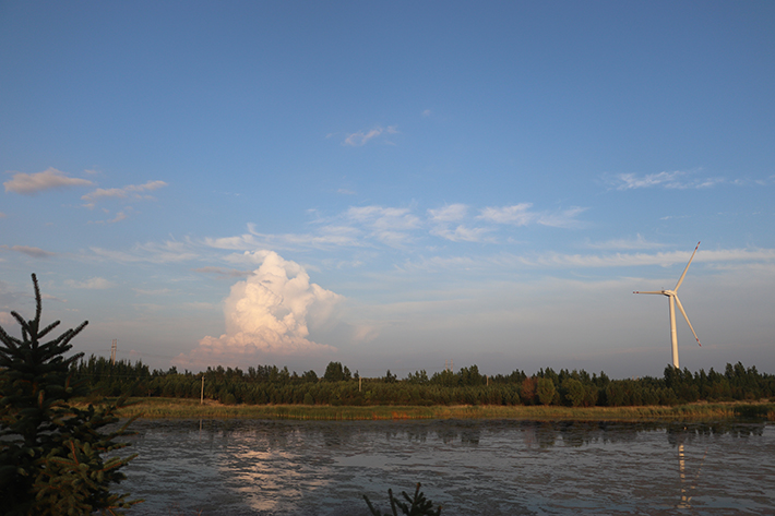 IMG_7980.JPG
