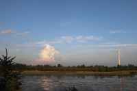IMG_7980.JPG