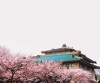 wuhan-5497470.jpg